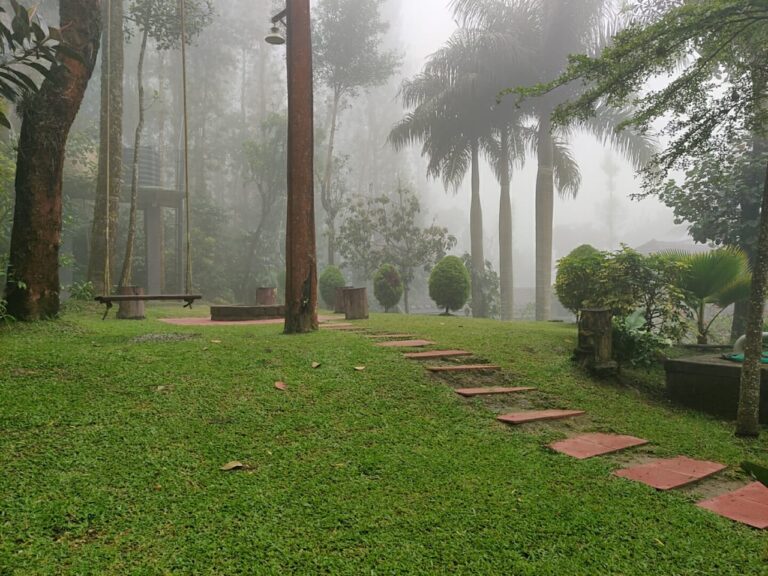 WhatsApp Image 2023 02 01 at 09.01.03 1 768x576