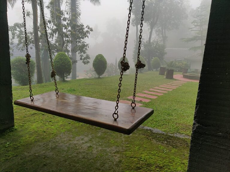 WhatsApp Image 2023 02 01 at 09.01.05 768x576