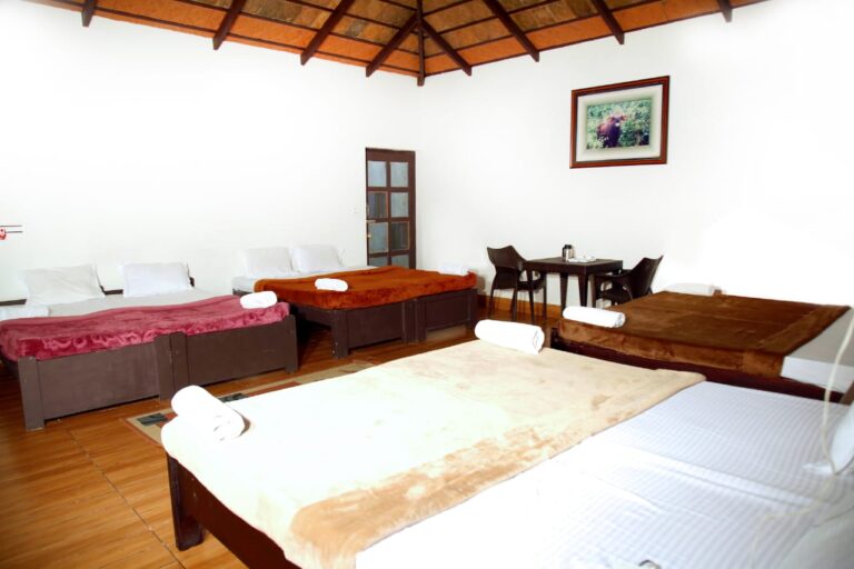 WhatsApp Image 2023 02 01 at 09.01.17 768x512