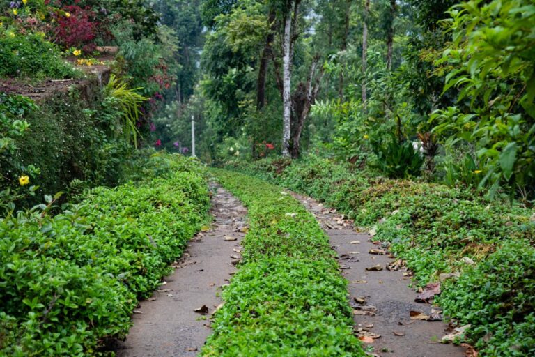 WhatsApp Image 2023 02 03 at 14.06.12 768x512