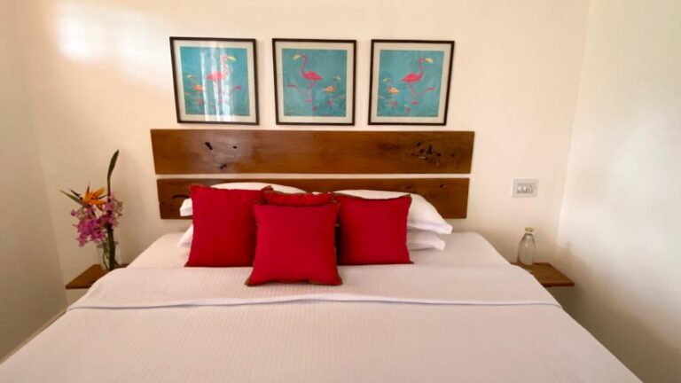 WhatsApp Image 2023 02 03 at 14.18.39 768x432