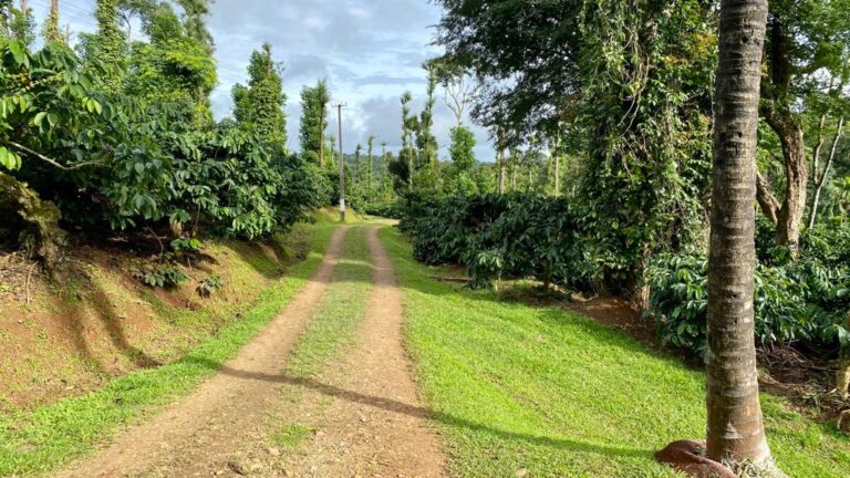 WhatsApp Image 2023 02 03 at 14.18.42 768x432