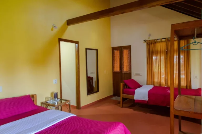 estate view 2 768x512