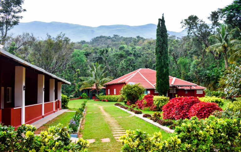 Carls Bungalow 768x484