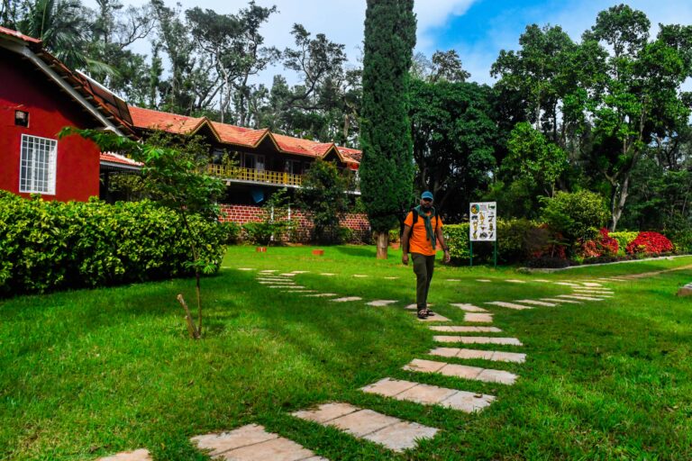 Carls Bungalow1 768x512