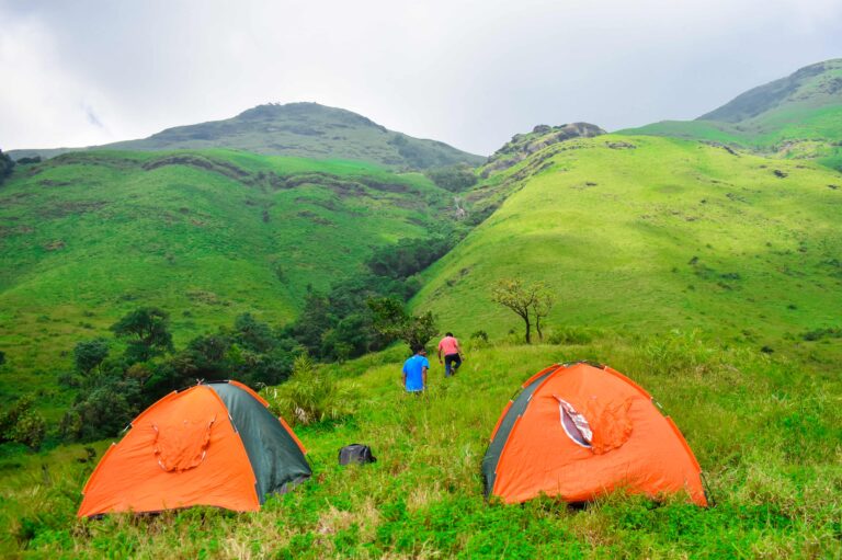 Carls Bungalow14 768x511