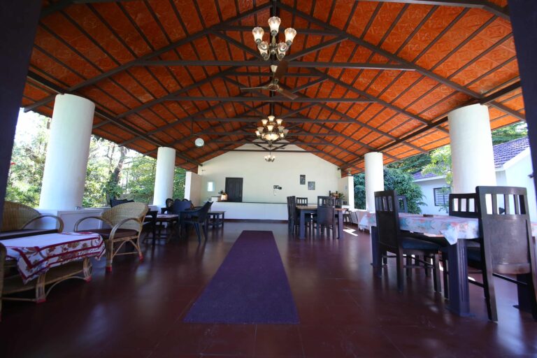 MAle stay231 768x512