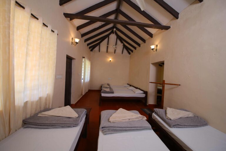 MAle stay298 768x512