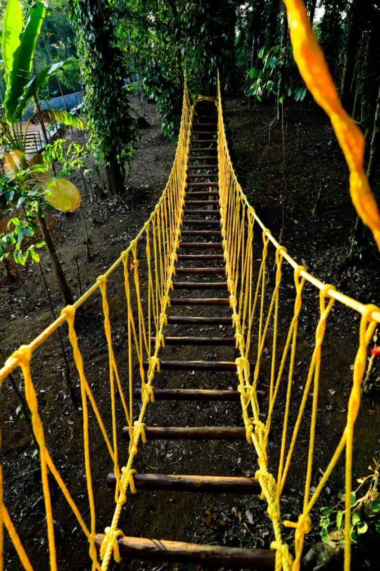 WhatsApp Image 2023 04 27 at 13.49.22 Copy 768x1152