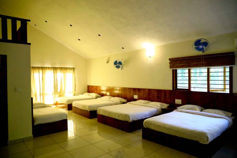 WhatsApp Image 2023 04 27 at 13.49.28 Copy 768x512