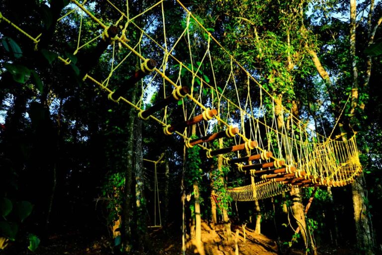 WhatsApp Image 2023 04 27 at 13.49.30 Copy 768x512