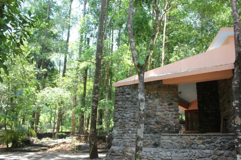 0c11295d 15a1 4133 bc97 404d376cd1c2 2 768x512