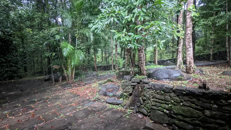 2d874b34 5efd 43b8 90b9 9cc8166fb3cc 768x432