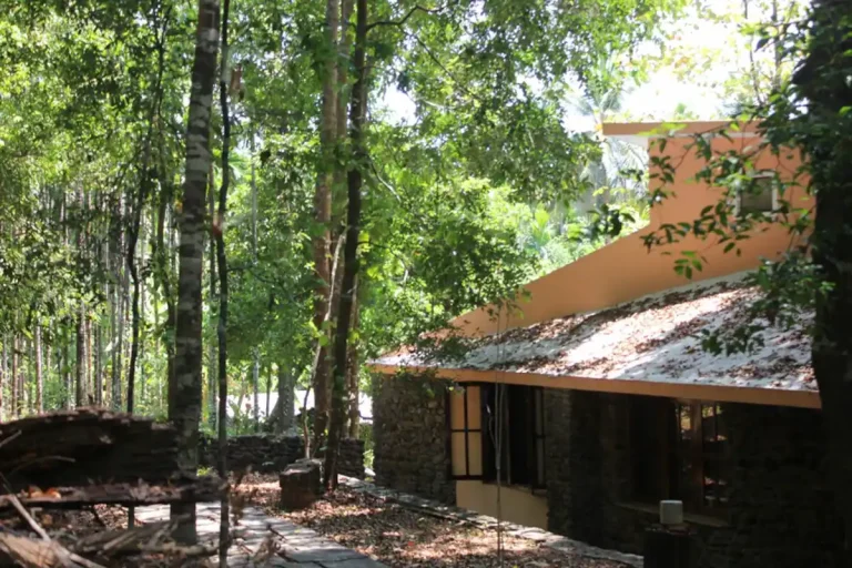 4cdc981e baa9 4b09 a62b b44c89221638 1 768x512