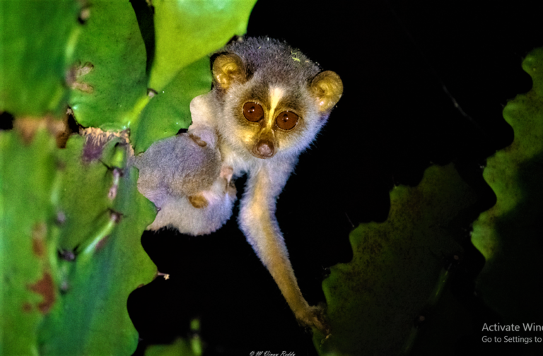 Screenshot 250 768x504