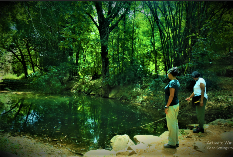 Screenshot 255 768x518