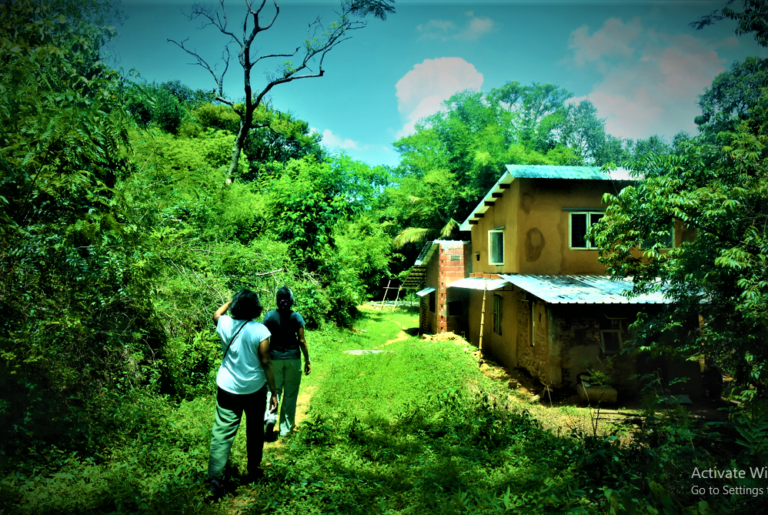 Screenshot 256 768x515