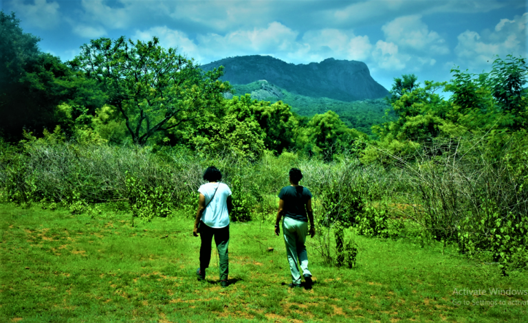 Screenshot 257 768x470