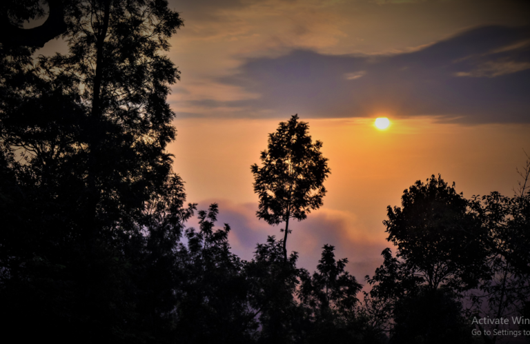 Screenshot 264 768x499