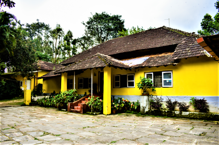 Screenshot 266 768x507