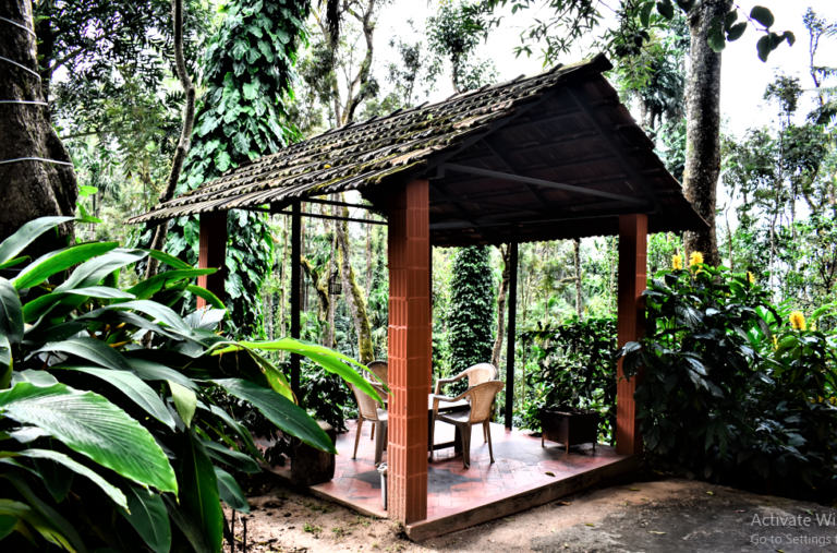 Screenshot 267 768x507