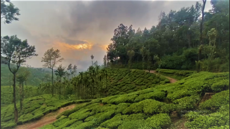 Screenshot 271 768x432