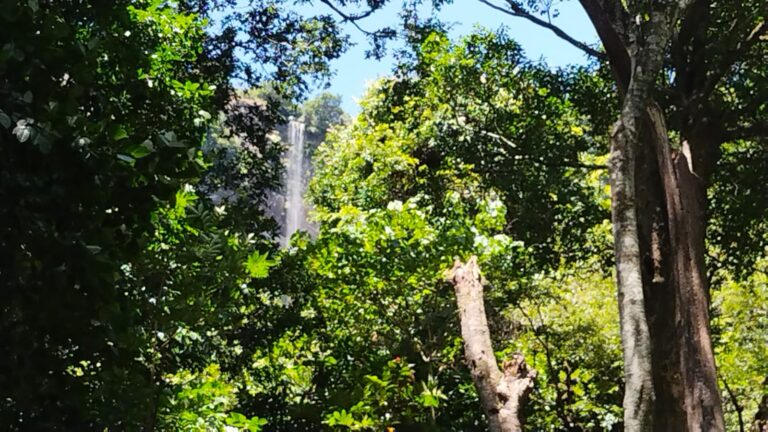 WhatsApp Image 2023 06 12 at 11.28.24 768x432