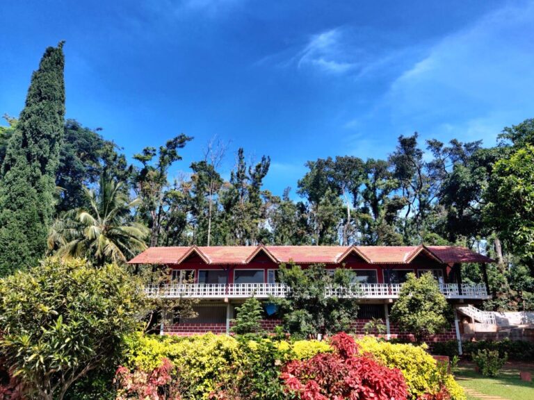 WhatsApp Image 2023 06 12 at 12.39.45 768x576