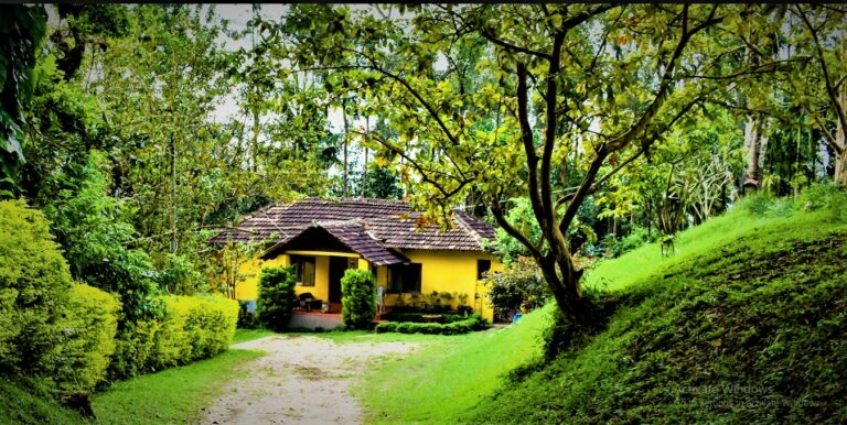 WhatsApp Image 2023 06 12 at 21.39.46 1 768x386