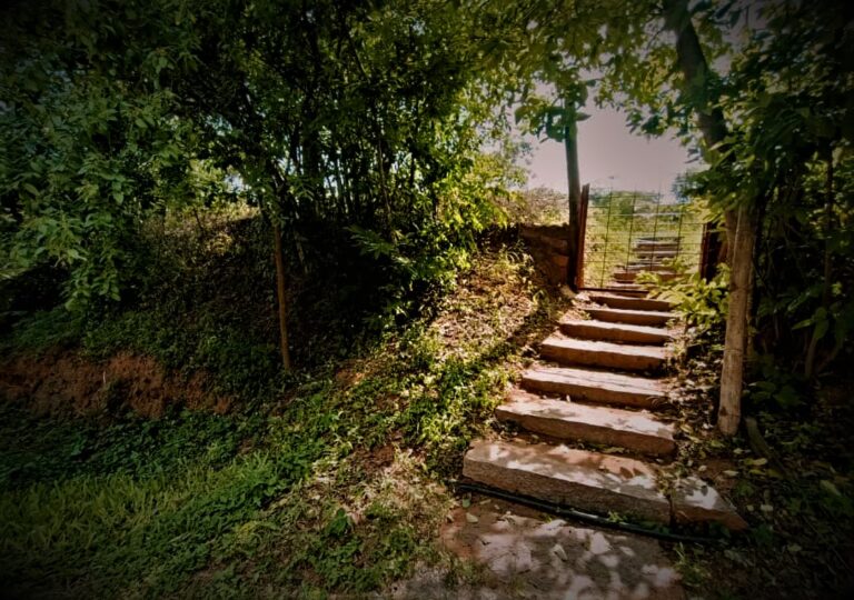 WhatsApp Image 2023 06 14 at 15.33.00 768x540