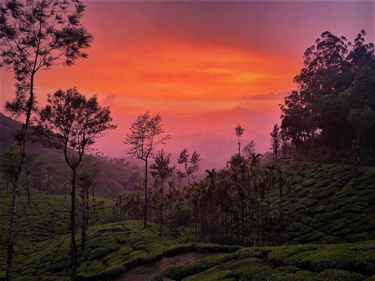 WhatsApp Image 2023 06 19 at 21.26.07 768x576