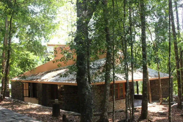 c0a36cd1 27e8 4816 8d8c 51e8ba6f0e7a 2 768x512