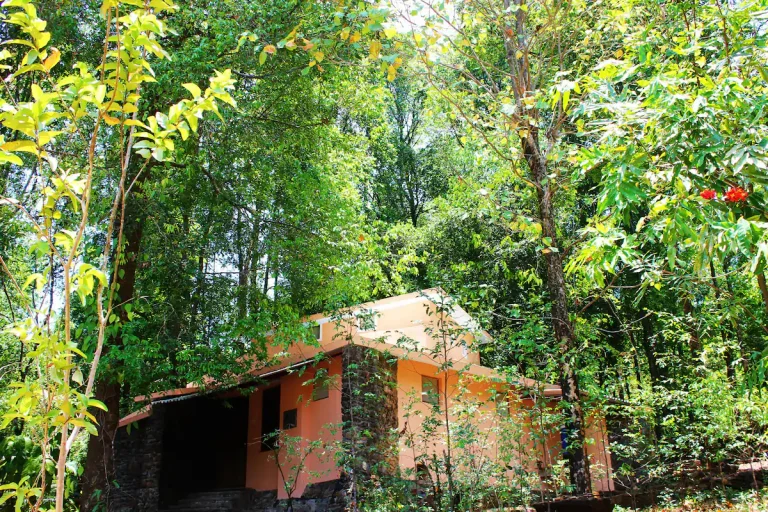 d0f0d891 b932 4a9d 8094 bec46a93f763 1 768x512