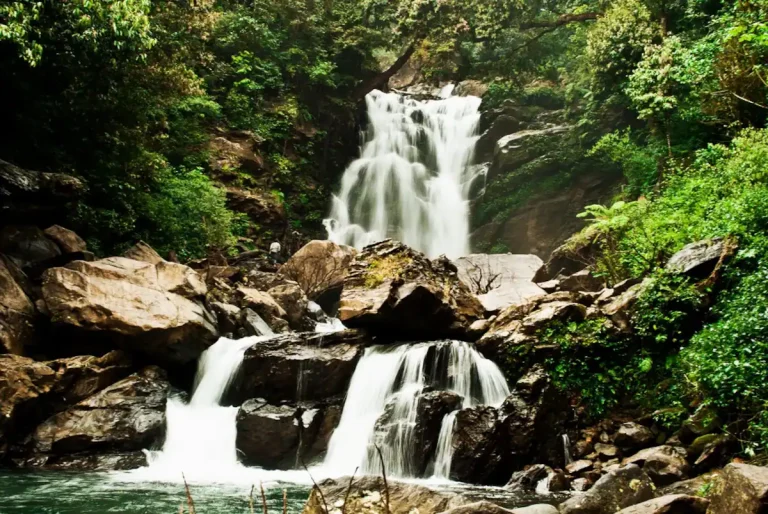 db3c532b 204a 4283 92a5 310c4b151c5b 2 768x514