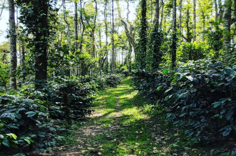 gallery image 65 768x509