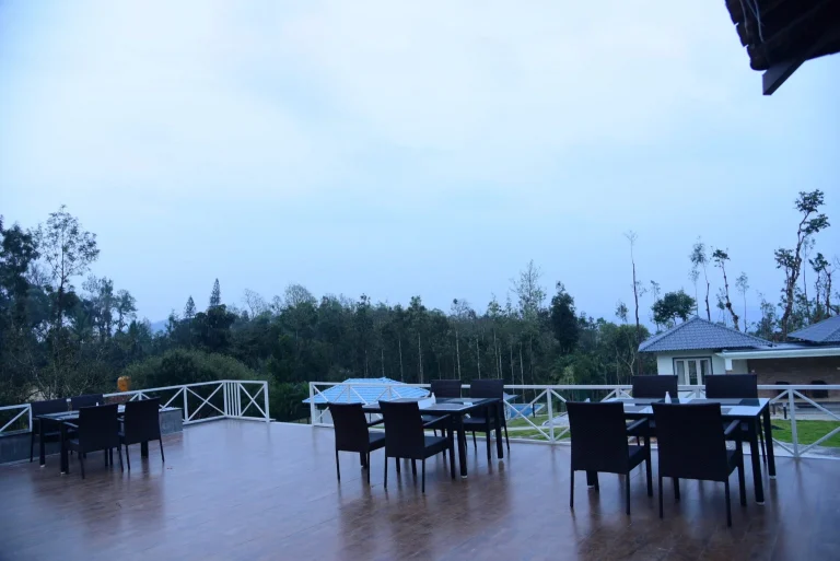 wood deck 1536x1025.jpg 768x513