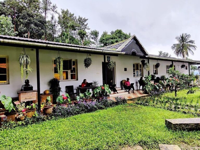 241136624 828989251135939 8381376363034400328 n 768x576