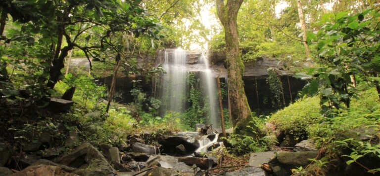 70584163 392334361468099 8728921554764693504 n 768x357