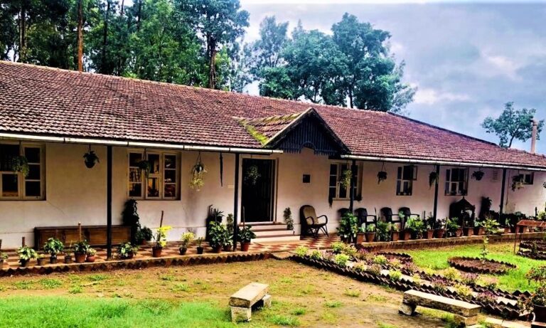 WhatsApp Image 2023 07 03 at 13.21.51 1 768x461