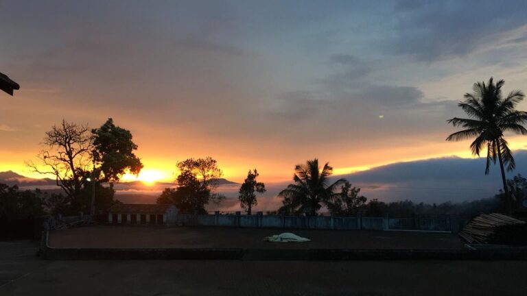 WhatsApp Image 2023 07 03 at 13.21.54 768x432