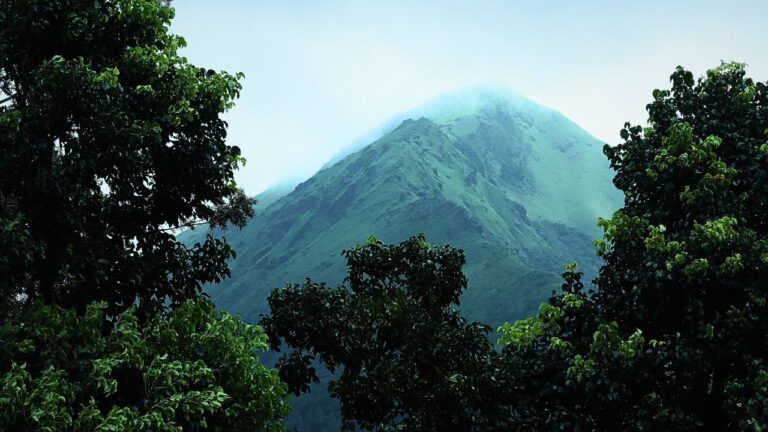 Neon Green and Black Tech Zoom Virtual Background 39 768x432