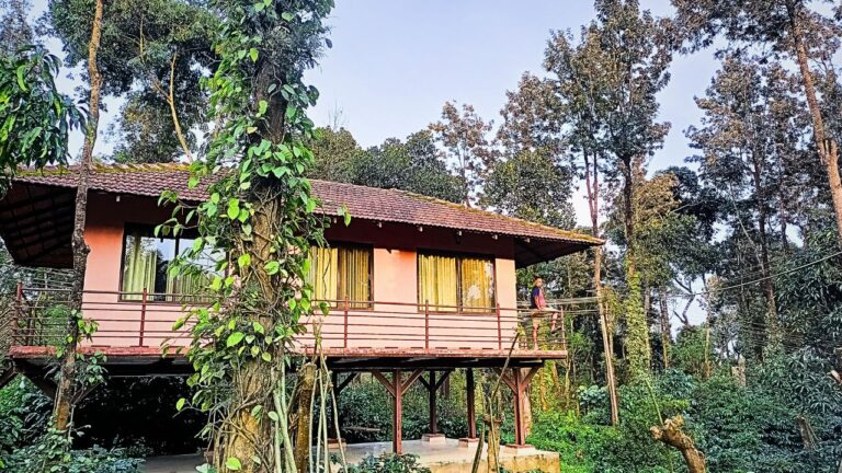 Neon Green and Black Tech Zoom Virtual Background 40 768x432