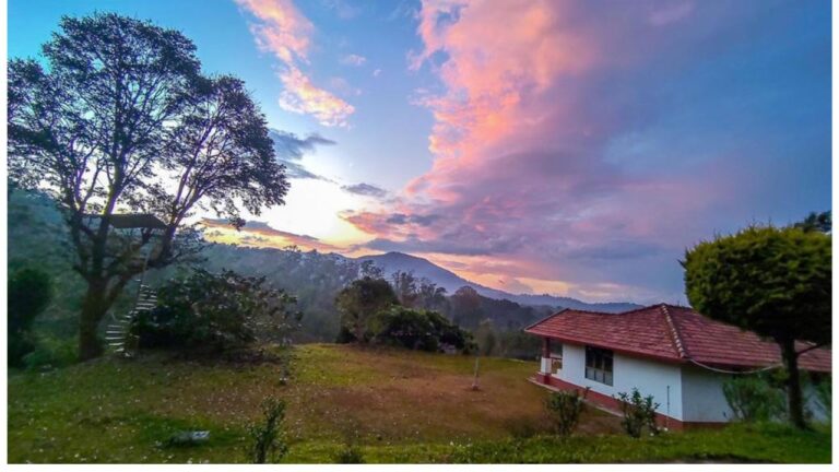 Neon Green and Black Tech Zoom Virtual Background 44 768x432