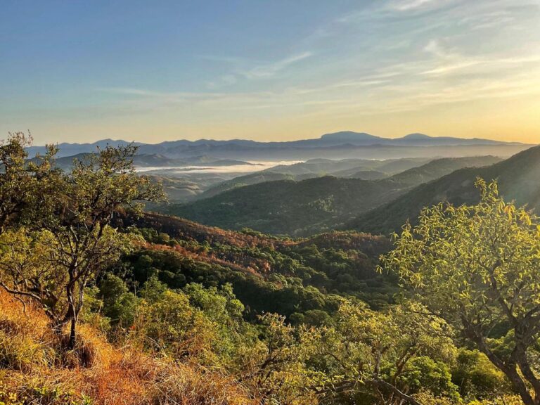 WhatsApp Image 2024 07 24 at 14.17.30 1 768x576