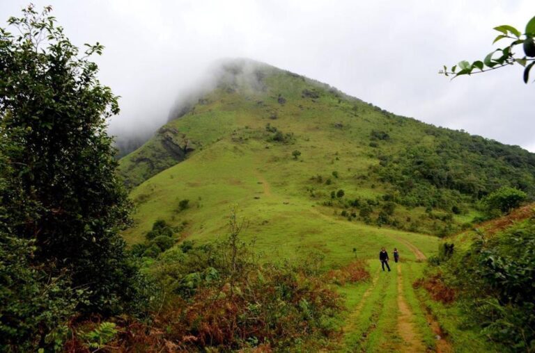 WhatsApp Image 2024 07 24 at 14.21.32 768x508