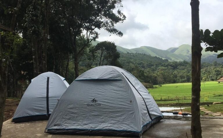 WhatsApp Image 2024 07 27 at 07.16.30 768x476