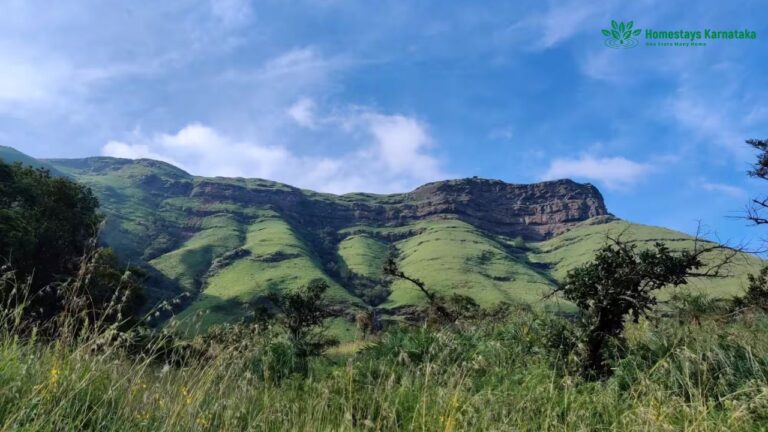 Carls British Bungalow Chikamagalur 768x432