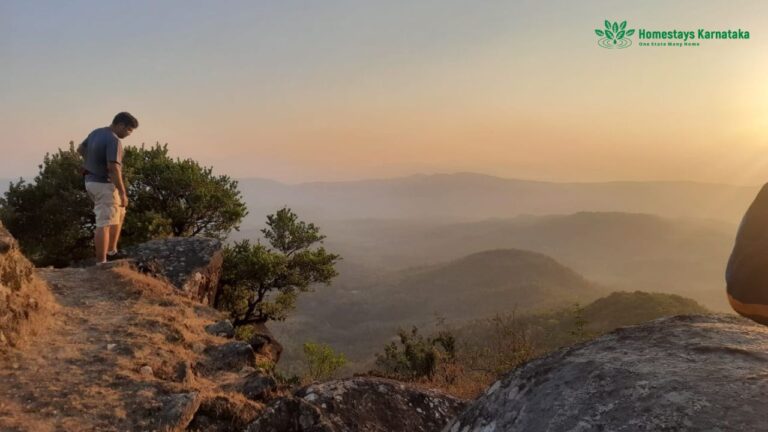 RainTree Homestay 2 1 768x432