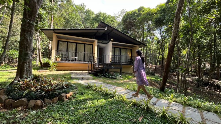 1 Nest vll stay by homestays karnataka 768x432