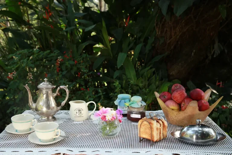 Breakfast at lawn coorg colonial estate by homestays Karnataka 768x512